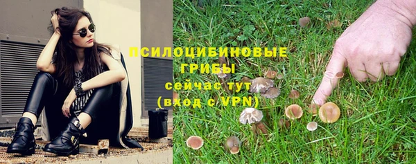 тгк Каменск-Шахтинский