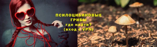 тгк Каменск-Шахтинский