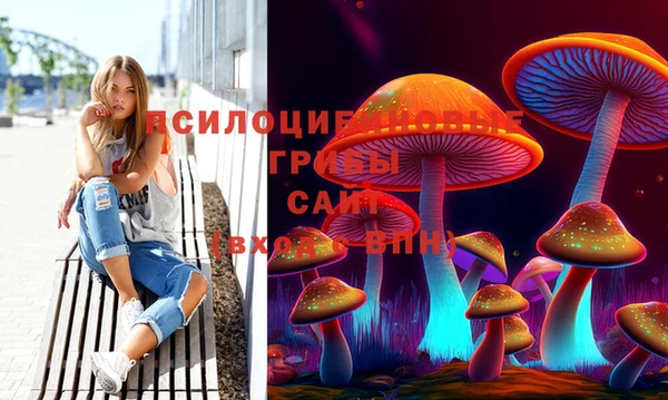 эйфоретик Каменка