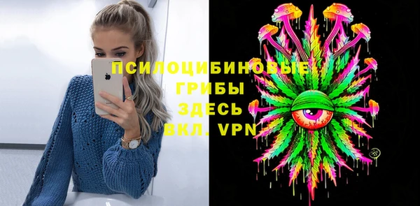 эйфоретик Каменка