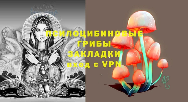 тгк Каменск-Шахтинский