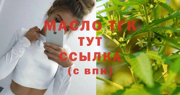 эйфоретик Каменка