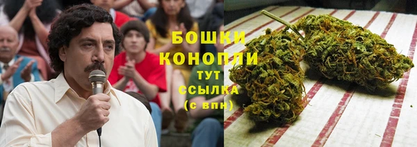 эйфоретик Каменка