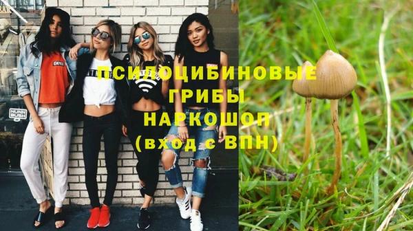 тгк Каменск-Шахтинский