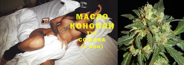 тгк Каменск-Шахтинский