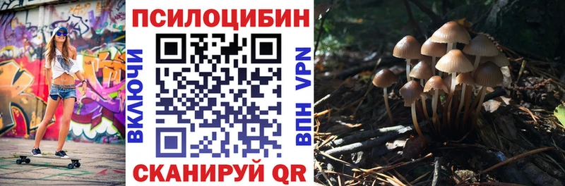 Псилоцибиновые грибы Psilocybine cubensis  Купить закладки  Эртиль 