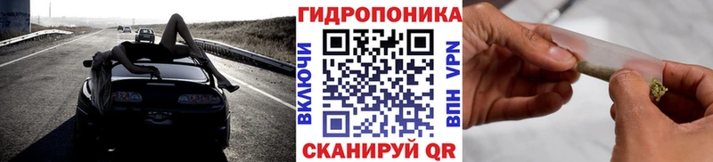 Купить где  Эртиль  Конопля сатива 